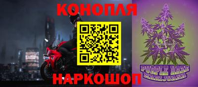 бошки Камышлов