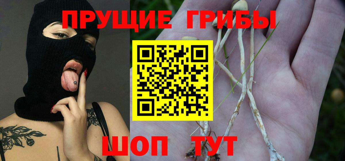Галлюциногенные грибы MAGIC MUSHROOMS Кыштым